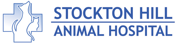 Stockton Hill Animal Hospital of Kingman AZ