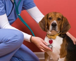 Preventative Medicine